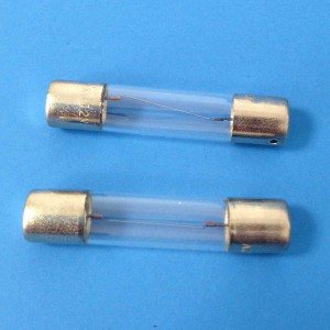 Replacement fuses #22120(4)　#22125の交換ヒューズ(4個)